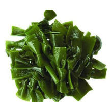 High quality OEM Delicious and Reliable available Factory Supply Kelp P.E.